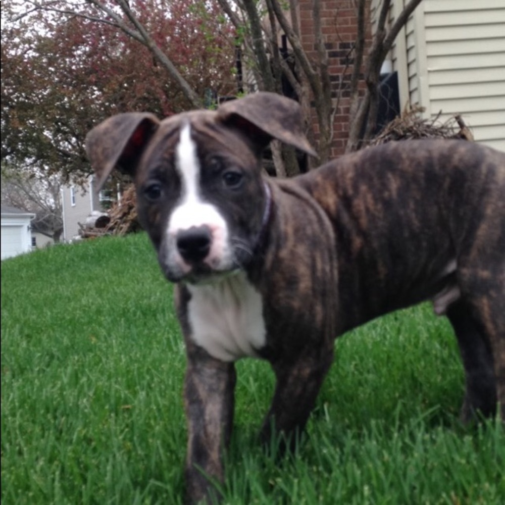 Meet your Posher, Judy